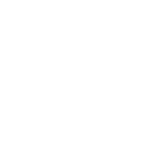 instagram_icon